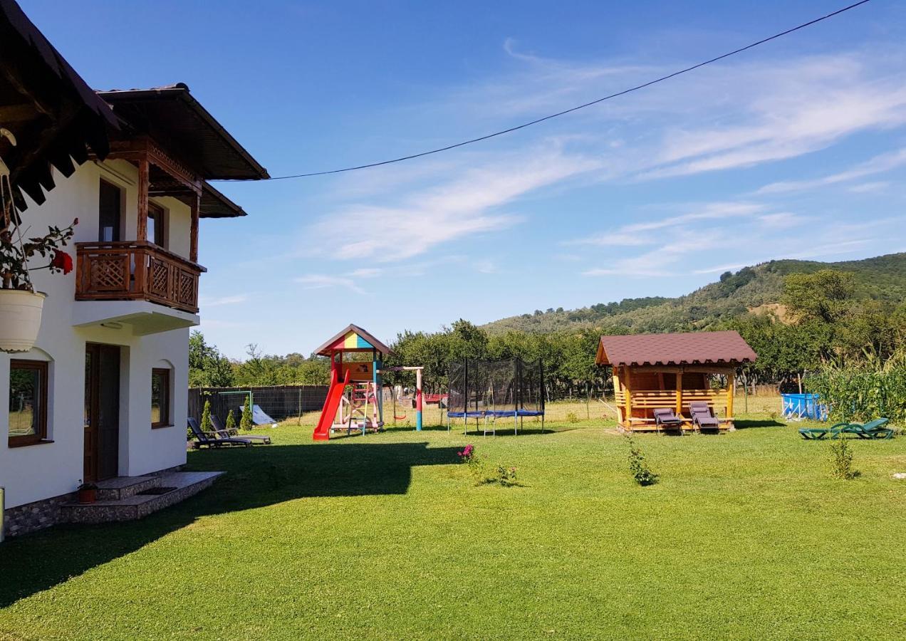 Vila La Bunicu Polovragi Exteriér fotografie